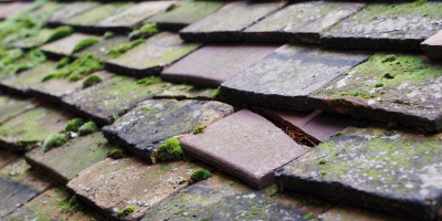 Redland roof repair costs